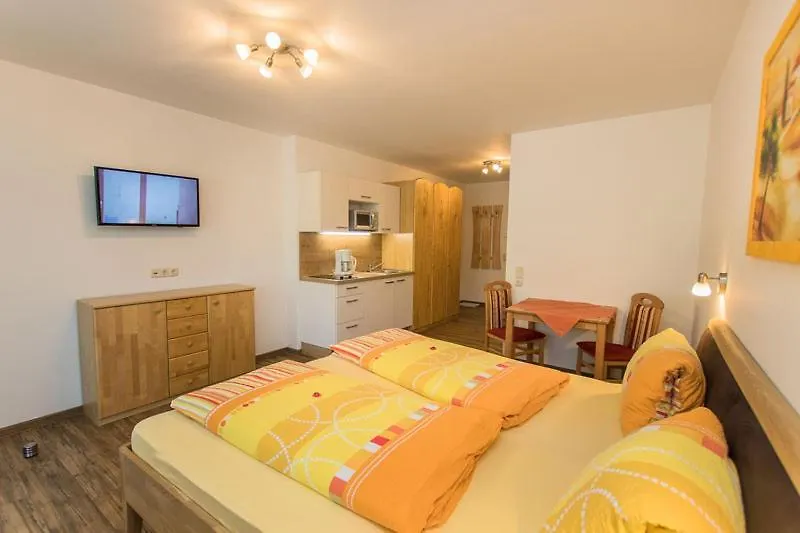 Appartment Hotel Mitterer Saalbach-Hinterglemm 0*,  Österrike